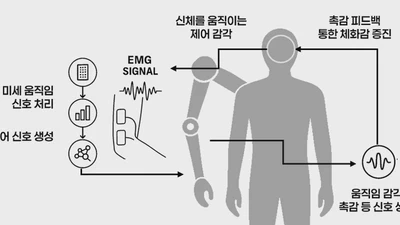 Research on a Neuroplasticity-Based Adaptive Control Interface for Embodiment of Extended Artificial Bodies (Oct. 2025 – Dec. 2026) featured image
