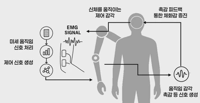 Research on a Neuroplasticity-Based Adaptive Control Interface for Embodiment of Extended Artificial Bodies (Oct. 2025 – Dec. 2026) featured image